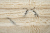 Beni Ouarain rug 7.57 ft x 5.05 ft - allmoroccanrugs